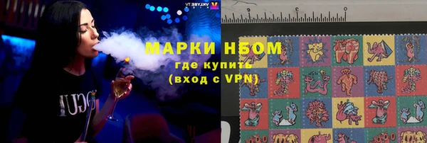 амф Новозыбков