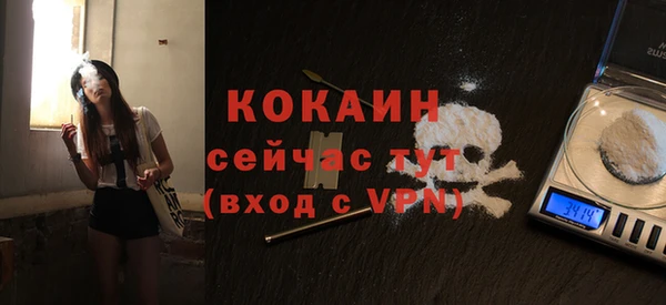 амф Новозыбков