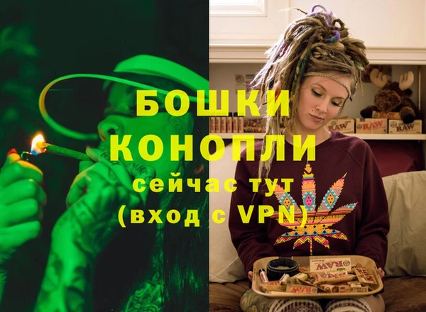 амф Новозыбков