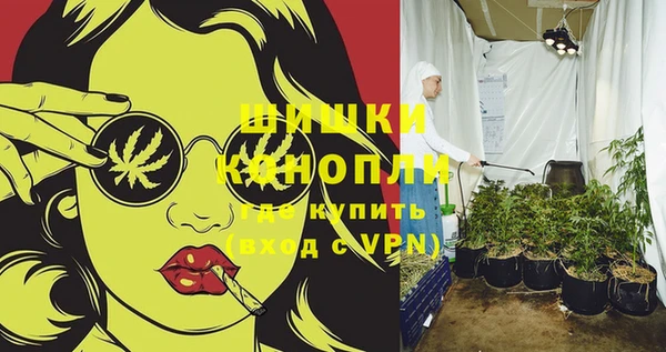 Альфа ПВП Новодвинск