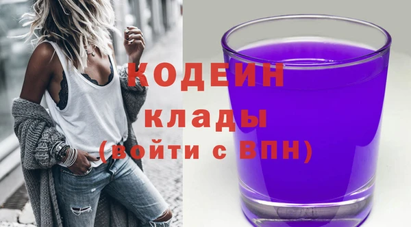 амф Новозыбков
