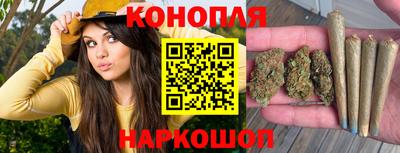 гидропоника Берёзовский