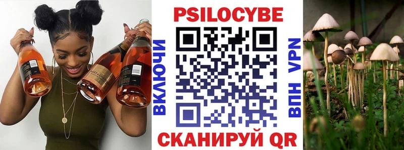 МЕГА ONION  Зеленогорск  Псилоцибиновые грибы Psilocybine cubensis 