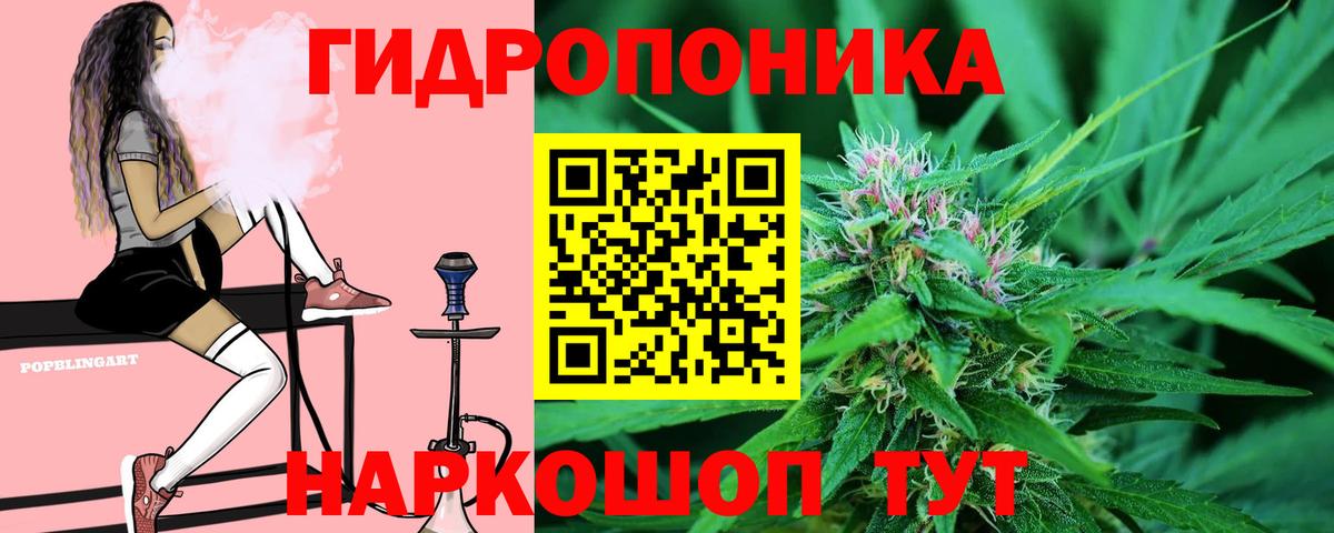 Канабис White Widow  Конопля SATIVA & INDICA  Зеленогорск  Конопля Bruce Banner 